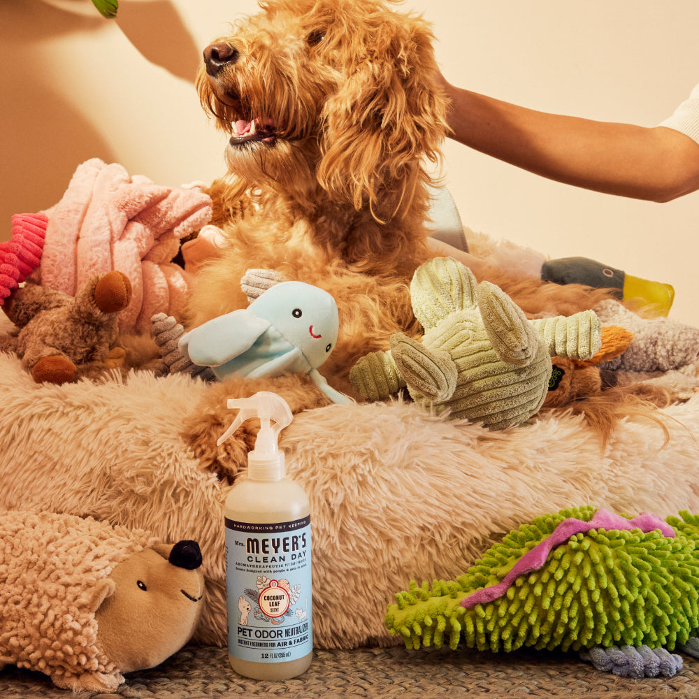 Pet Cleaning Essentials Set - Image 9
