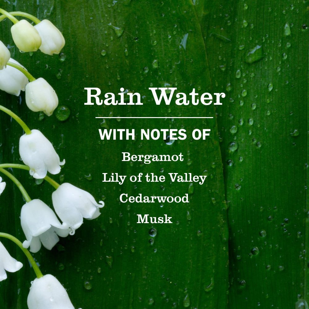 Rain Water Plug In Scented Oil Warmer With Refill - Image 6
