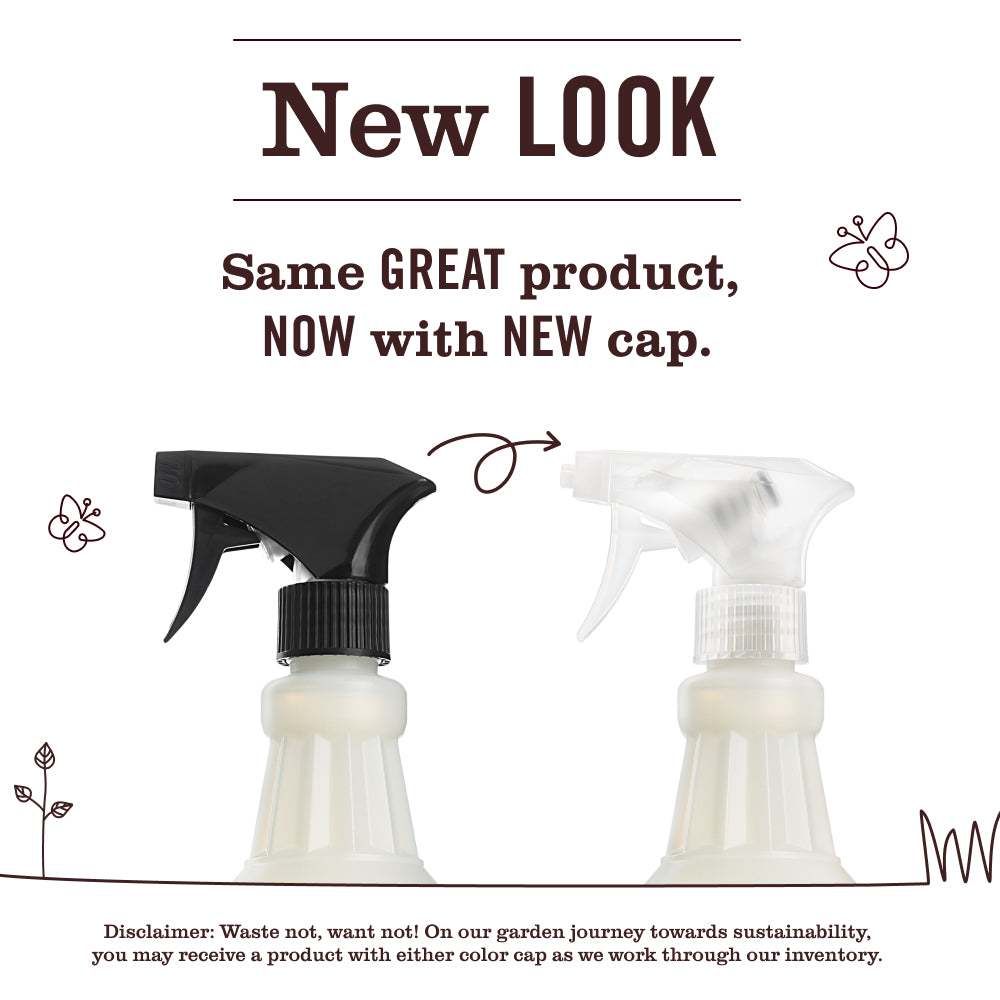 Gingerbread Multi-Surface Everyday Cleaner - Image 3
