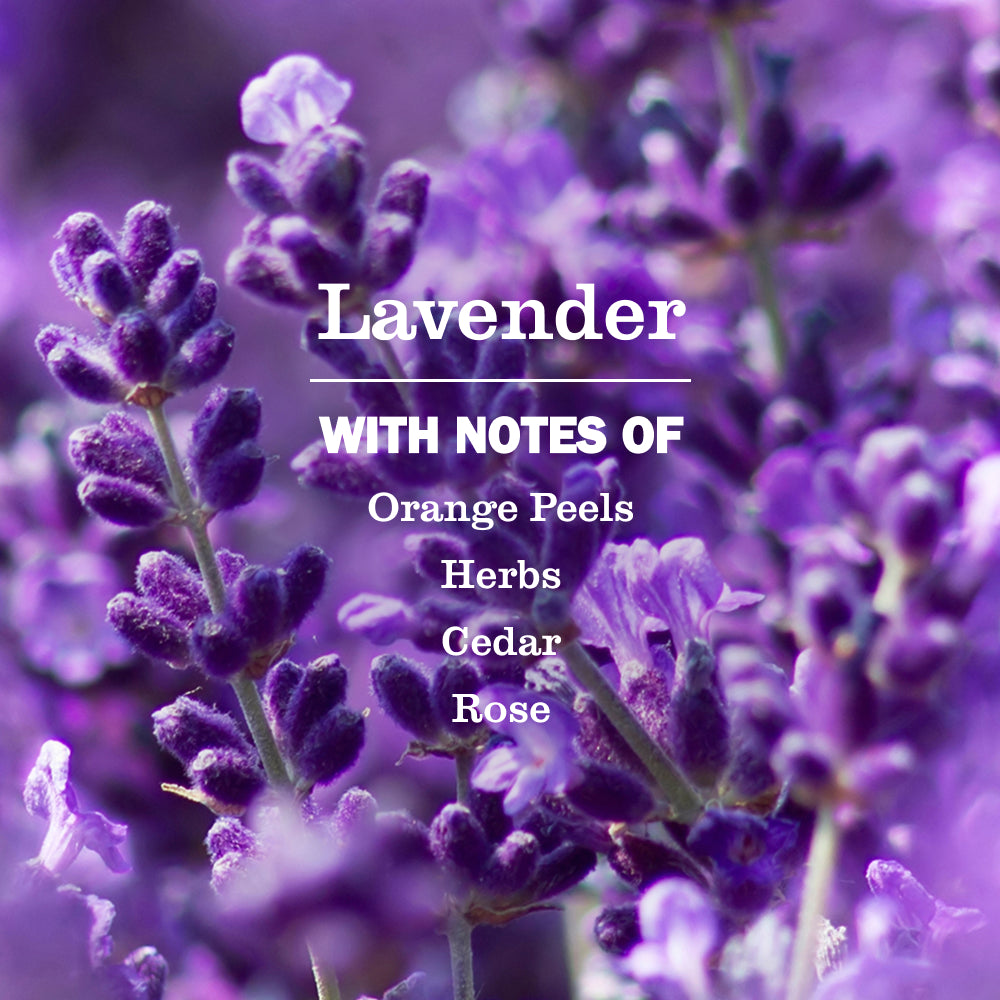 Lavender Dryer Sheets - Image 3